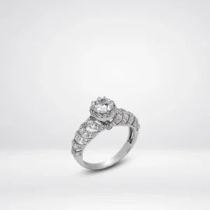 Ring_735b0f9c-192f-4604-ad21-746f2a209cc7